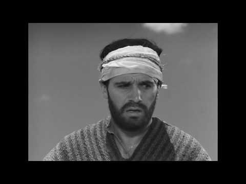 NAZARIN - Bande Annonce [VOST]