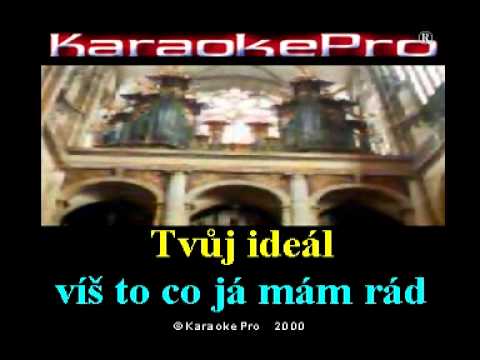 Petr Muk   Stín katedrál