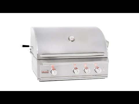 Blaze Professional Gas Grill