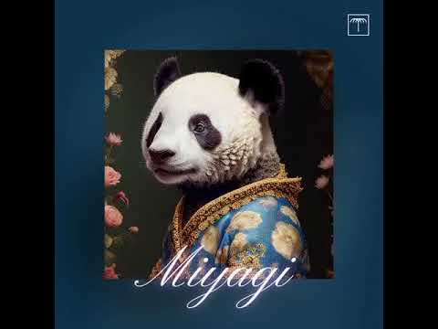 Snirco - Miyagi  [Maccabi House]