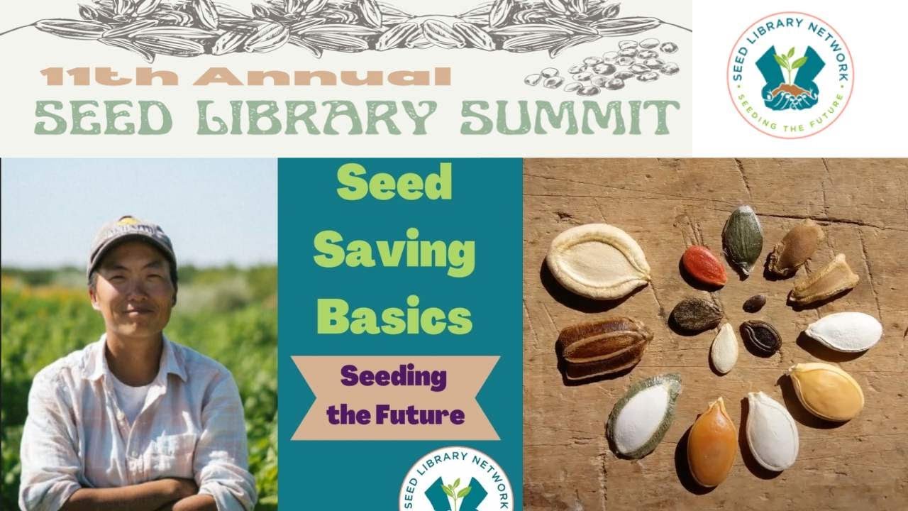 Seed Saving Basics with Kristyn Leach