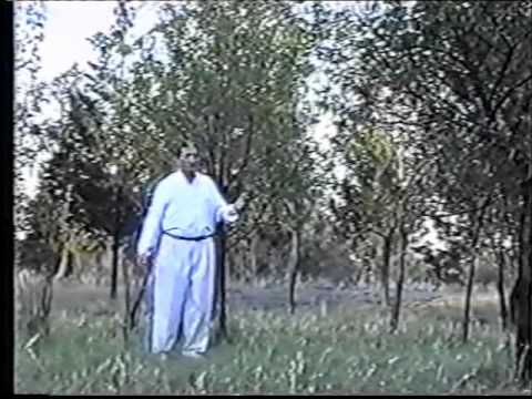 Rovshen Behcet - Xatiresen yar