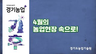 (이달의 농업현장) 4월의 농업현장 속으로!
