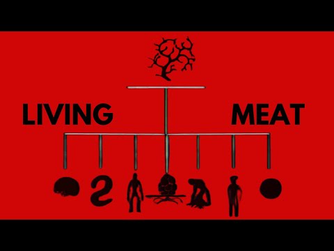 Analog Horrors That Started It All (Vita Carnis)