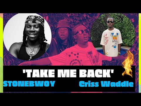 Criss Waddle - Take M Back ft. Stonebwoy (official video) Reaction!! crazy visuals🔥🔥