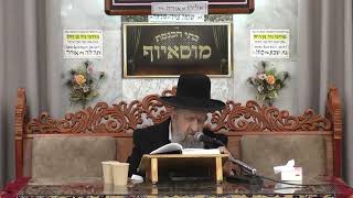 הרב בן ציון מוצפי | פרשת וארא תשפ"ו | מוסאיוף (בית הכנסת מוסאיוף - ערוץ חדש) - התמונה מוצגת ישירות מתוך אתר האינטרנט יוטיוב. זכויות היוצרים בתמונה שייכות ליוצרה. קישור קרדיט למקור התוכן נמצא בתוך דף הסרטון