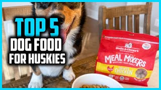 ✅ Top 5 Best Dog Food for Huskies 2026