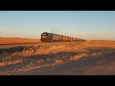 Comboio Internacional n.º 53732 - Badajoz