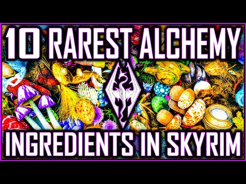 SKYRIM - 10 RAREST Alchemy Ingredients In The Game