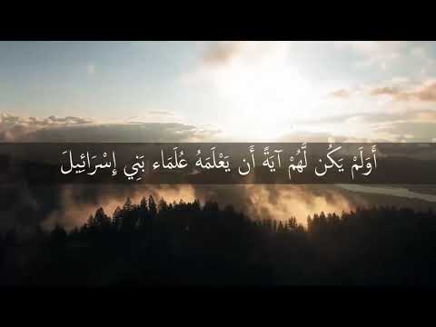 ملتقى لغة الضاد تنبض بالحياة