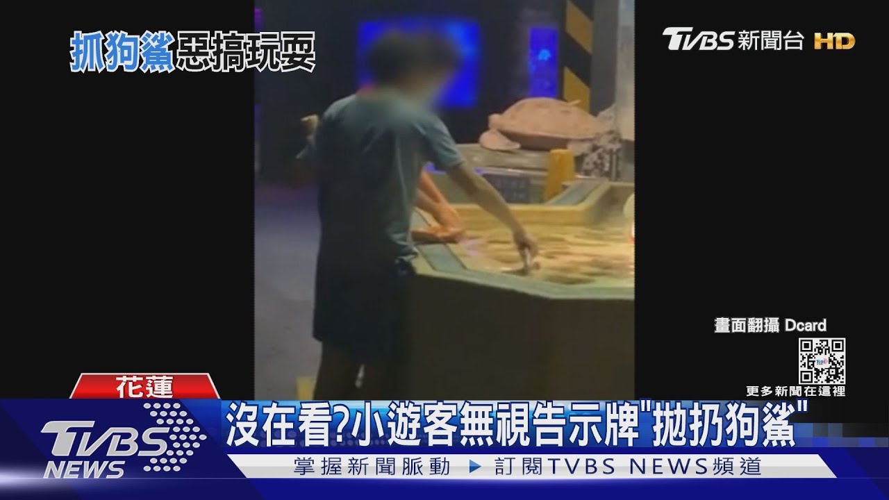 沒在看？　小遊客無視告示牌「拋扔狗鯊」
