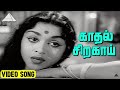 காதல் சிறகாய் Video Song Paalum Pazhamum Movie Songs Sivaji Ganesan Saroja D