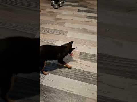 15 октомври 2025 г.