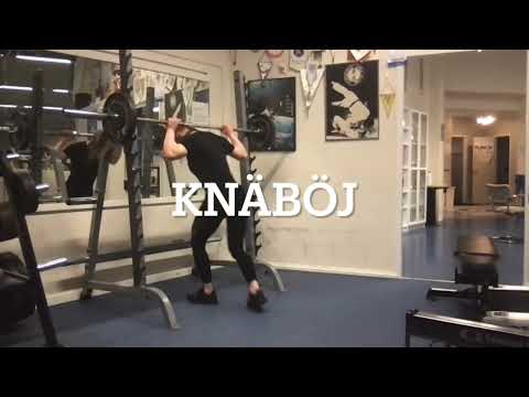 Knäböj