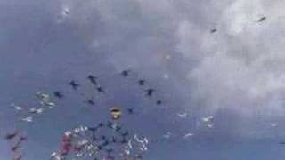 400 Way Skydiving World Record