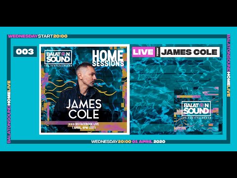 James Cole live vinyl only Balaton Sound 2020 Home Session