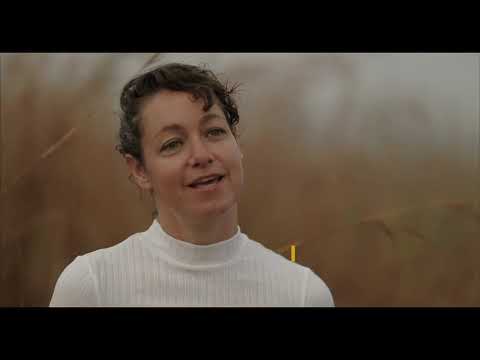 The Rehabilitation of Coutada 9 in Mozambique