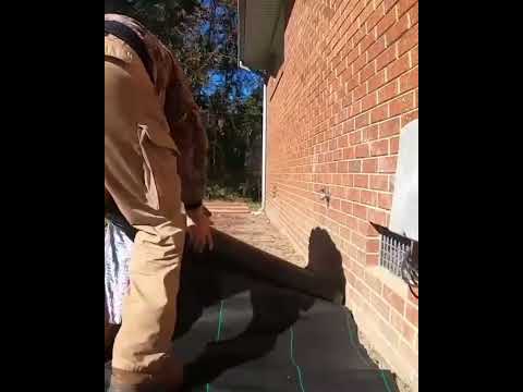 ホワイトビネガーを使って除草する方法は？雑草を破壊する他の天然物にはどのようなものがありますか?  庭園