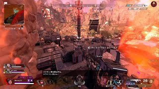 Apex Legends_3たて