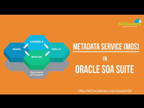 Learn about MetaData Services (MDS) - 5 Min Tech Clip
