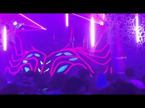 Kashyyyk Live @ A Trip to Darkness - Eventhalle Bülach, Switzerland