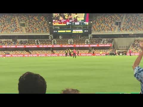 Mitch Starc gets Kyle Mayers caught and bowled at the Gabba (Crowd View)
