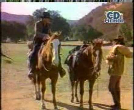 hashar nashar perdesi