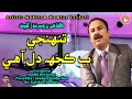 Tuhnji B Kujh Dil Aahe Mumtaz Lashari Hit Song