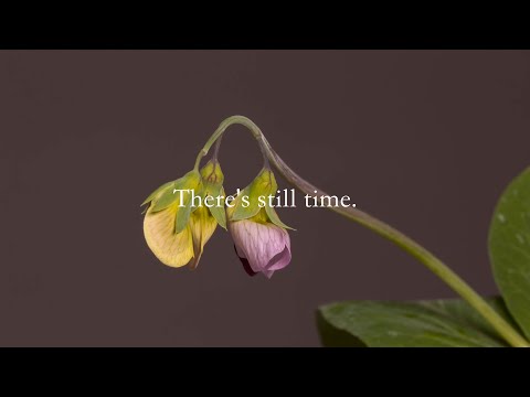 Bhajamana Radhe (Outro) - DevoT | For Krishna | Official Music Video