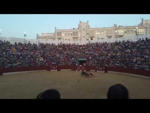 David galvan te quiero  san Fernando