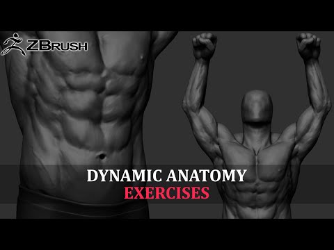 Sculpting Dynamic Anatomy In ZBrush (RAW FOOTAGE) - Part 02 (NO AUDIO)