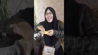 Download lagu Cara pakai Mak urut yg benar hubungi distributor resmi NASA 08386862635 mp3