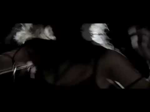 Sonus Delay - Visceral (videoclip)