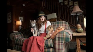 Trailer Preview Image