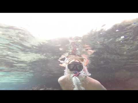 Lagoonarium motu ahi moorea