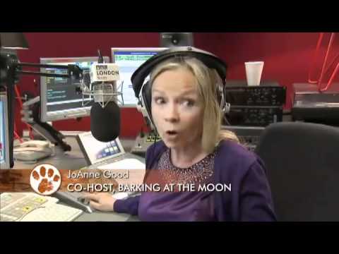 Dogs 101 -- Miniature Bull Terrier feat. Anna and Molly