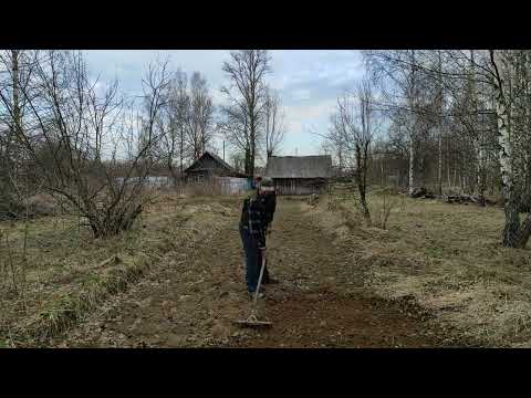 Пасека. Посадка медоносов. #shorts