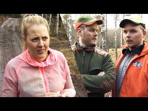 NORDIC HILLBILLIES - Kärlek i luften