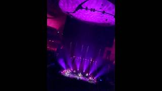 The Divine Comedy  Charmed Life  philharmonie de Paris