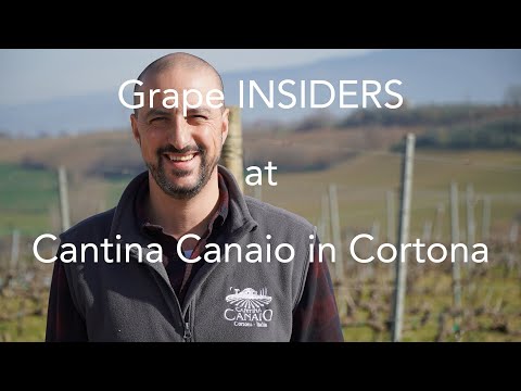 Grape INSIDERS: Cantina Canaio in Cortona