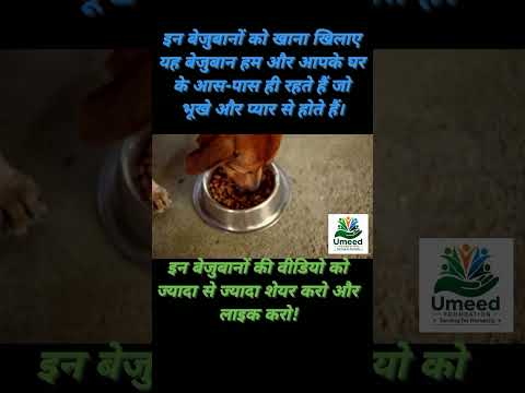 इन बेजुबानों की वीडियो को ज्यादा से ज्यादा शेयर करो और लाइक करो!#trending #viral #dogs #viralvideos