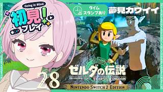 リベンジ⚡雷電グリオークさん＆夢見の勇者服もゲットしたい欲張りな九州の蛮族｜シリーズ完全初見【ゼルダの伝説 ティアーズ オブ ザ キングダム｜ティアキン｜TotK】#28