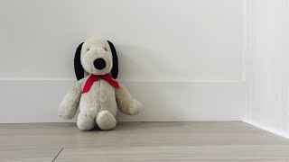 10 Marketing Ideas for a Dog Sitting Business