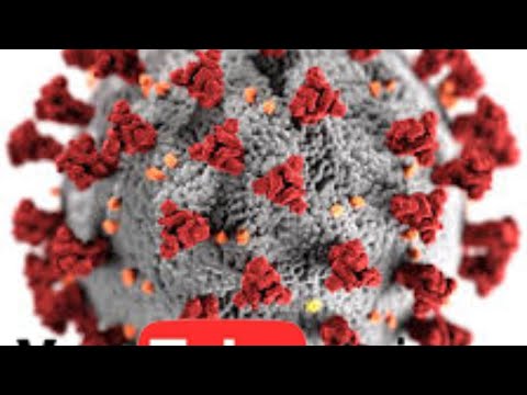 [LIVESTREAM] Coronavirus Pandemic: Real Time Counter, World Map, News - WHO - CANLI YAYIN KORONA