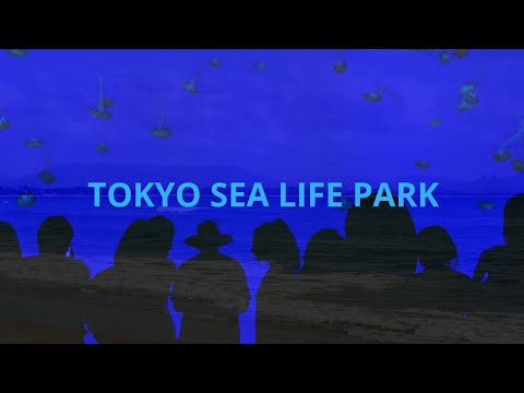 葛西臨海公園/山口陽一  TOKYO SEA LIFE PARK/Yoichi Yamaguchi  Tokyo Bay Music 2020 Video