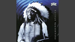 Stuck Behind the Popemobile