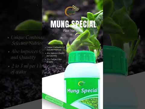 Liquid Brown Corn Special Bio-Stimulant, Packaging Size: 1litre