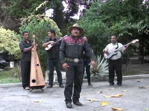 Naudiz Salazar nuevo callao parrandero