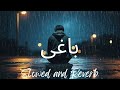 Peera Ve Peera Baghi Ost Slowed And Reverb
