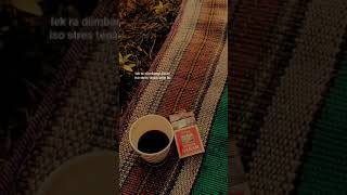 Download lagu Quetos jawa terbaru story wa (kehadiran cinta) mp3